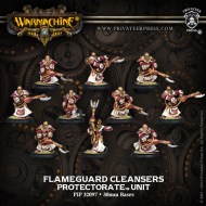 flameguard cleansers protectorate unit